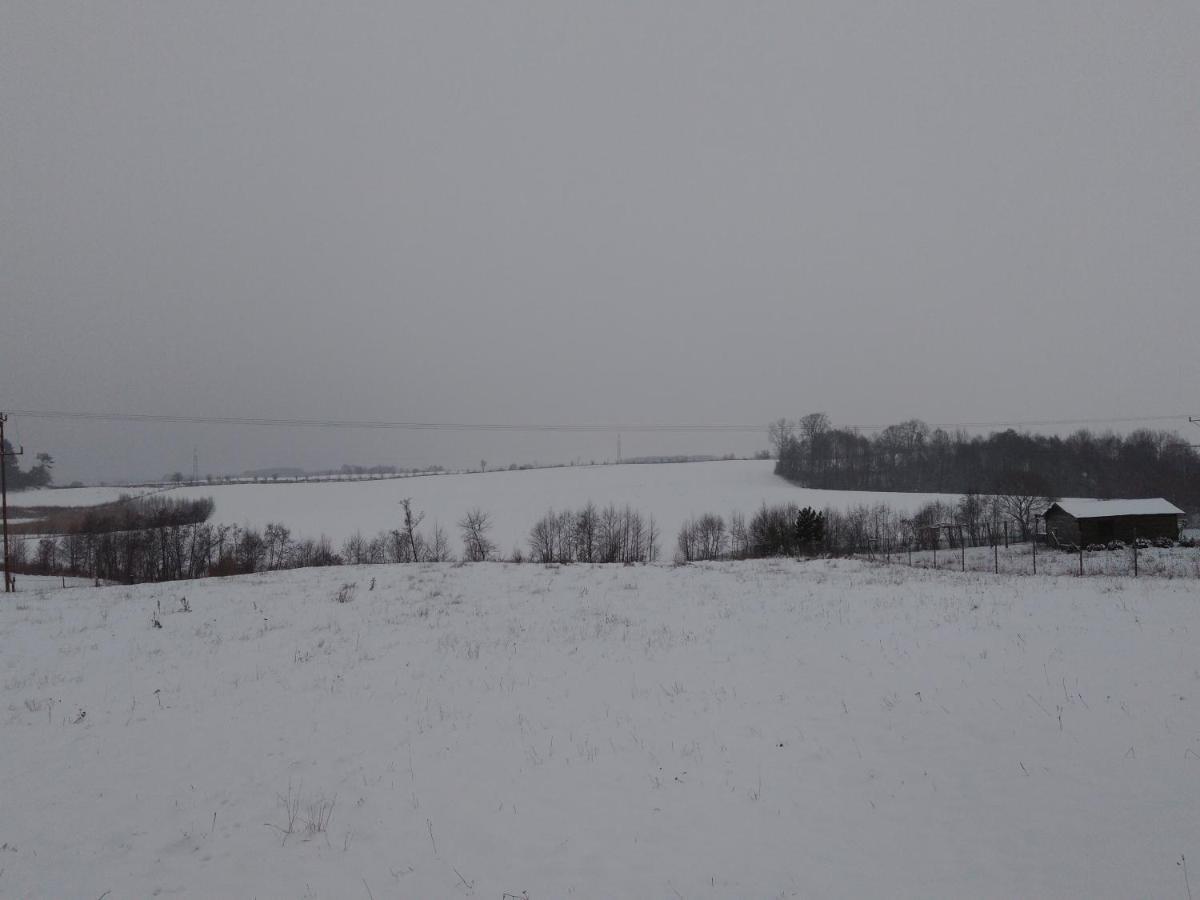 Domek Bialojany Bagian luar foto