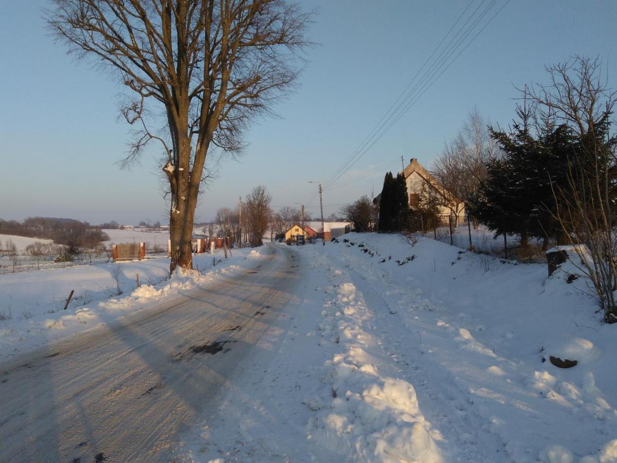 Domek Bialojany Bagian luar foto