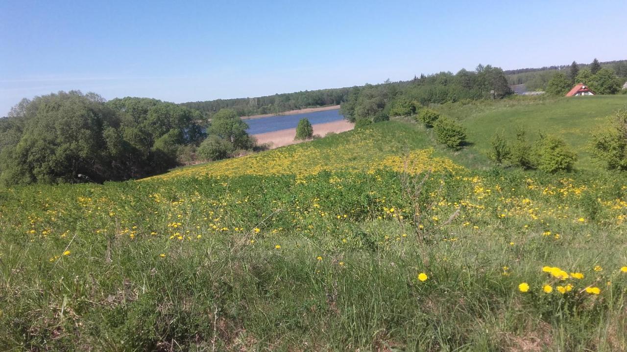 Domek Bialojany Bagian luar foto