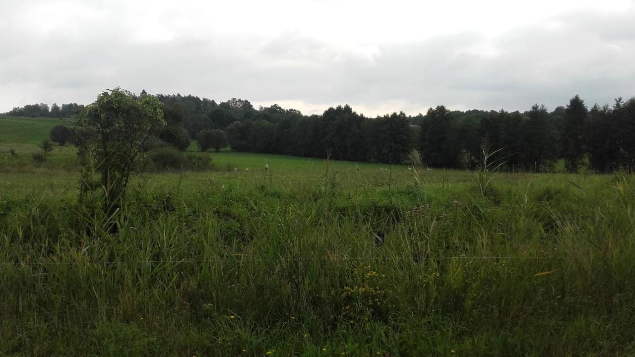 Domek Bialojany Bagian luar foto